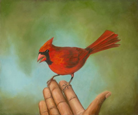 Red Cardinal perched on open hand.