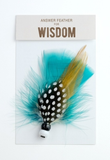 Close product shot of teal blue answer feather for wisdom