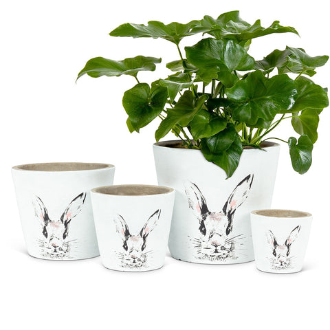 Group shot of Benjamin Bunny planters in different sizes and plant potted in large planter. Sizes from left to right: medium, small, large, extra small