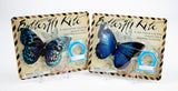 Blue/Silver/Purple and Blue Butterfly Kites