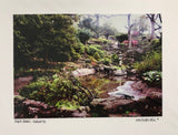 Photo Card of pond with green leaves and a squirrel.