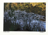 Photo Card of Pond with Lily Pads 