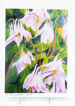 painting of columbine