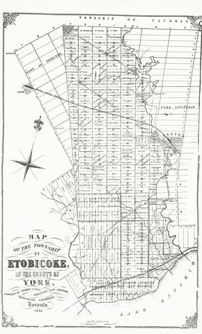 Close product shot of map of Etobicoke