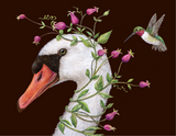 Iris and Stanley card with image of a hummingbird and a close up of a swan's head with pink flowers growing around its neck and head