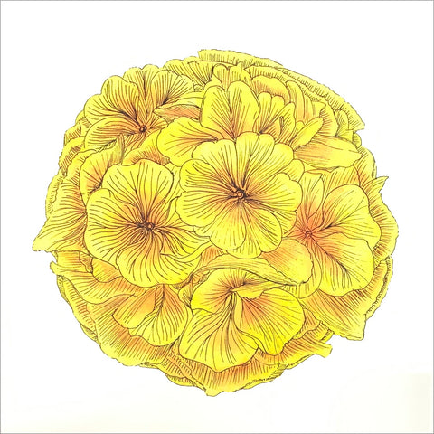 Blossom greeting card with yellow petunias in a ball on the cover