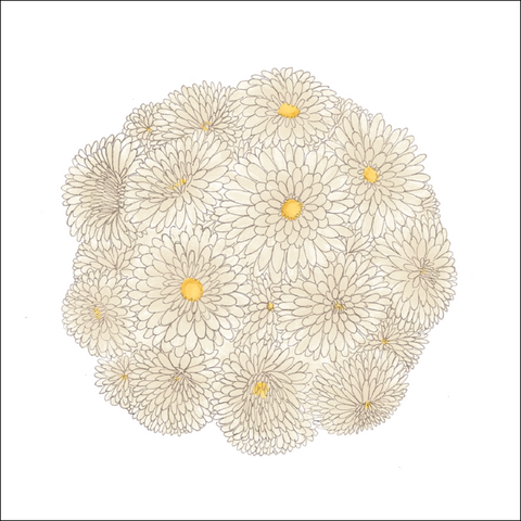 Blossom greeting card with white daisies in a ball on the cover