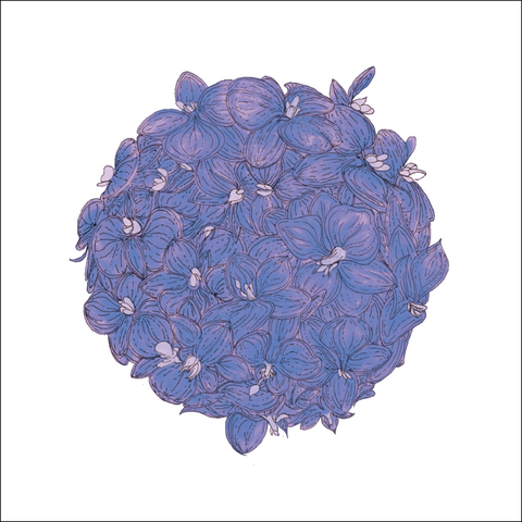 Blossom greeting card with purple orchids in a ball on the cover