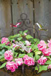 3 dragonfly picks displayed in a basket of flowers