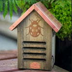 Copper roof insect house for ladybugs shown outdoors